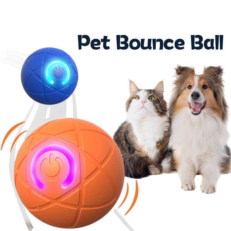 🎅(CHRISTMAS PRE SALE WHILE SUPPLIEST LAST NOW - 49% OFF) Pet Bounce Ball for Cats &amp; Dogs🎅