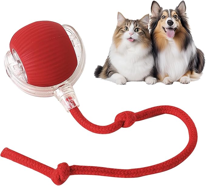 Marvaball interactive pet toy ball