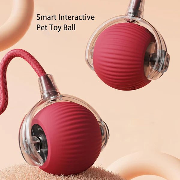 Marvaball interactive pet toy ball