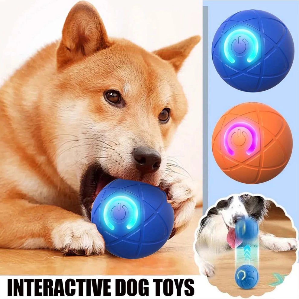 🎅(CHRISTMAS PRE SALE WHILE SUPPLIEST LAST NOW - 49% OFF) Pet Bounce Ball for Cats & Dogs🎅