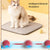Marvaball interactive pet toy ball