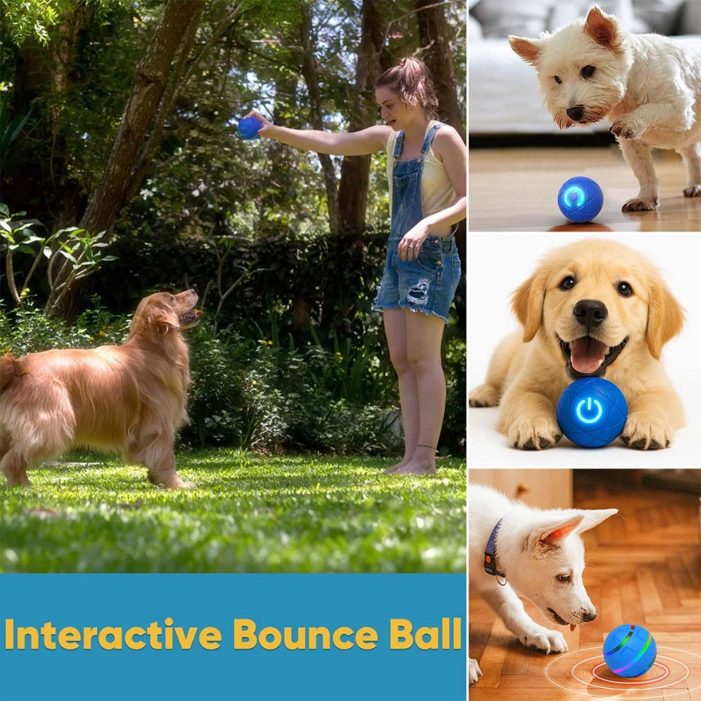 🎅(CHRISTMAS PRE SALE WHILE SUPPLIEST LAST NOW - 49% OFF) Pet Bounce Ball for Cats & Dogs🎅