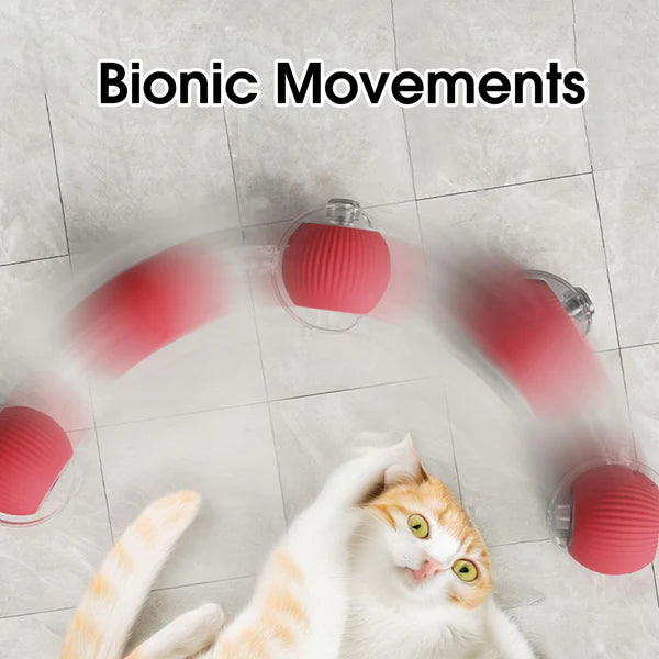 Marvaball interactive pet toy ball