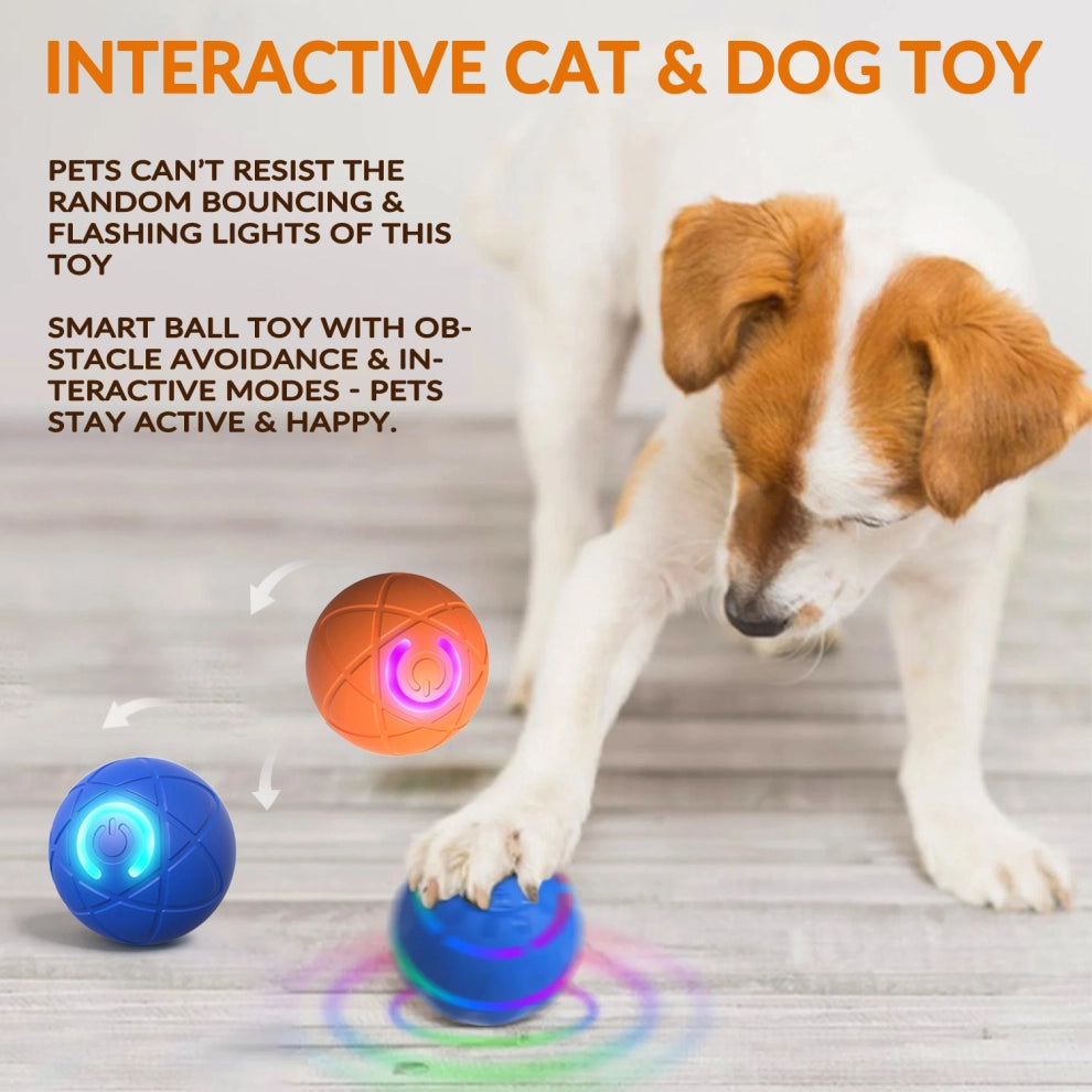 🎅(CHRISTMAS PRE SALE WHILE SUPPLIEST LAST NOW - 49% OFF) Pet Bounce Ball for Cats & Dogs🎅
