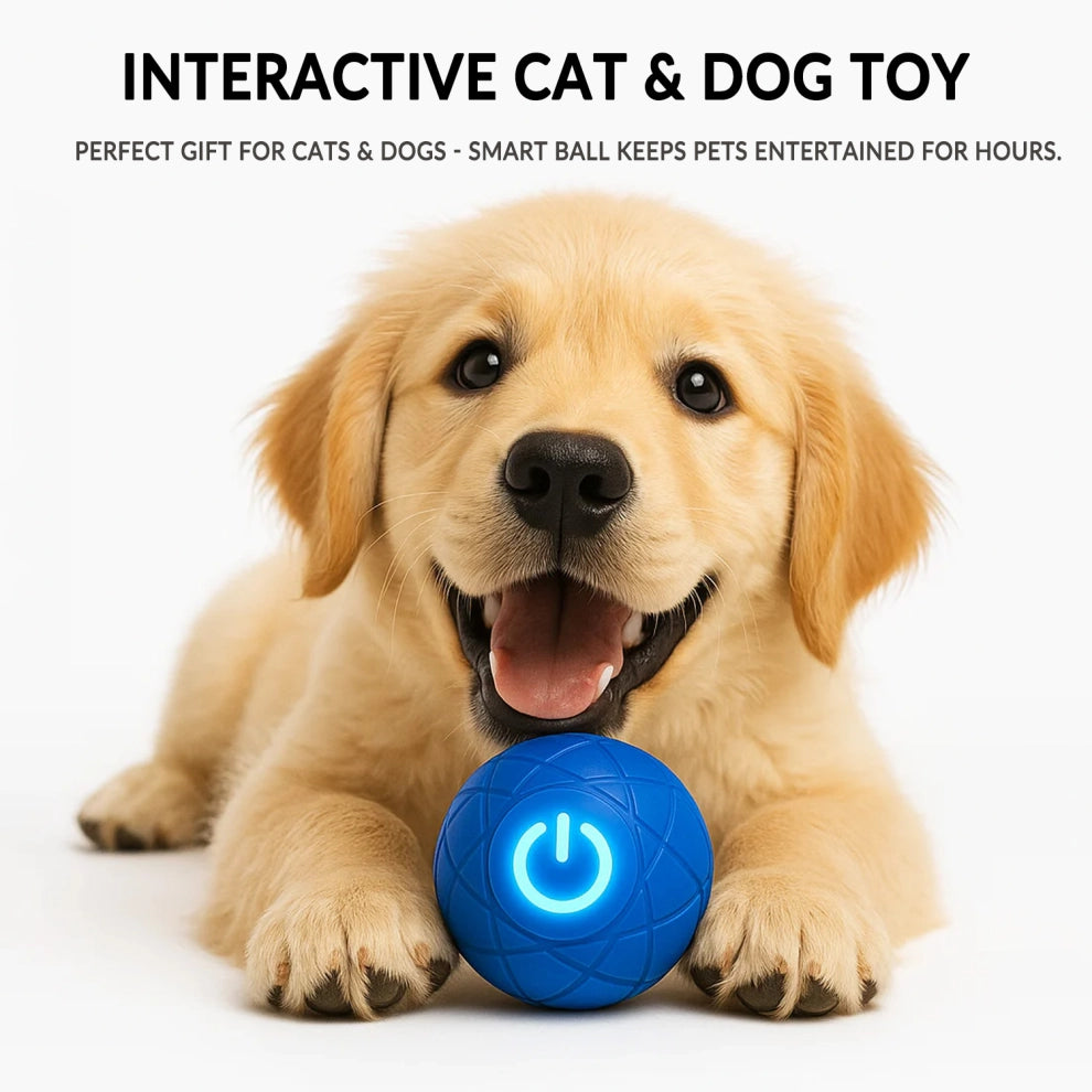 🎅(CHRISTMAS PRE SALE WHILE SUPPLIEST LAST NOW - 49% OFF) Pet Bounce Ball for Cats & Dogs🎅