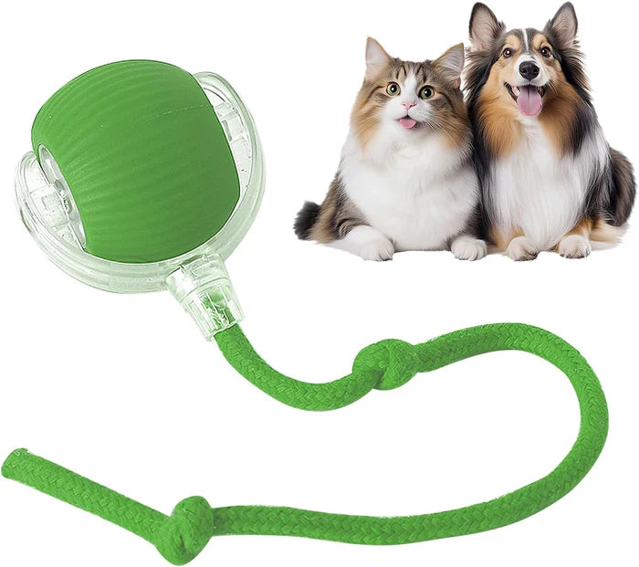 Marvaball interactive pet toy ball